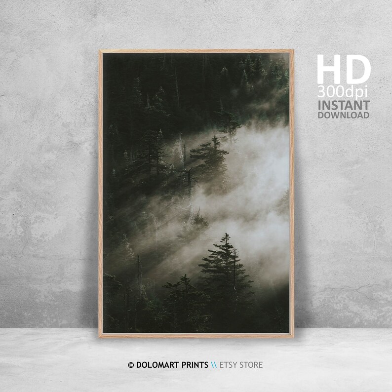 Misty Forest Print, Nordic Landscape Photography (Digital Download) image 3