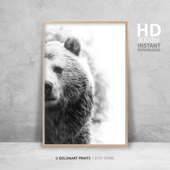 Bear Wall Art Bear Print wildernis fotografie Animal Poster