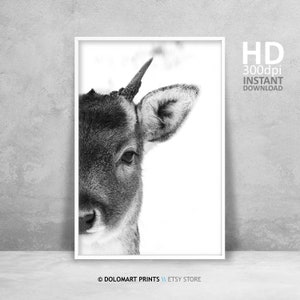Hirsch Wandkunst, Hirsch Druck, Wildnis Fotografie, Tier Poster, druckbare Wandkunst Wald Hirsch Foto große Wandkunst Sofortdownload Druck