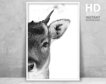 Retrato de veado impresso, fotografia animal em preto e branco (download digital)
