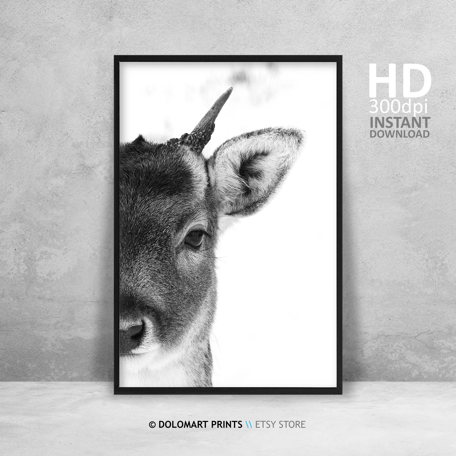 Deer Wall Art Deer Print Wilderness Photography Animal Etsy
