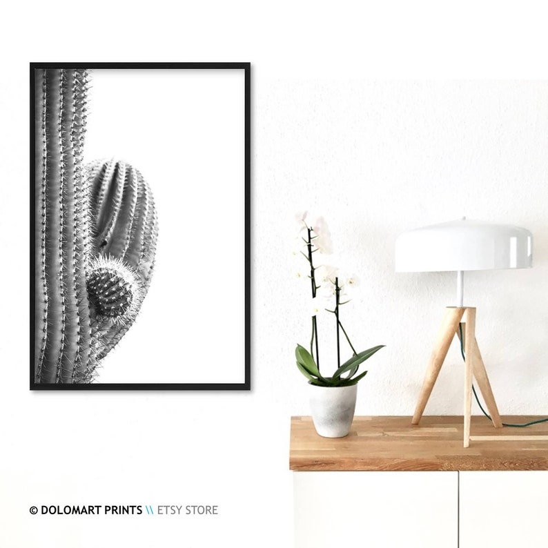 Cactus Print Succulent Print Southwestern Decor Cactus Wall Etsy