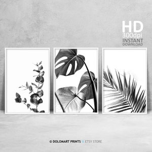 Black and White Botanical Photography Wall Art Set of 3 Prints, Minimal Printables Set, Palm Leaf, Monstera Deliciosa, Australian Eucalyptus