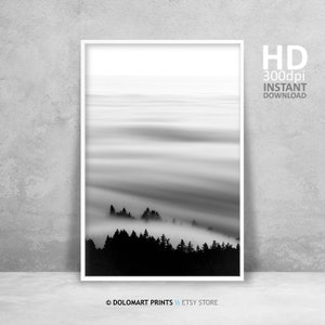 Black and White Photography Print, Minimalist Photography Print, Printable Wall Art, Nature Photography Printable, Digital Prints Download
