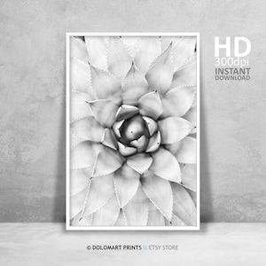 Botanical Print, Botanical Wall Art, Botanical Prints Set, Antique Botanical, Vintage Botanical, Botanical Poster, Succulent Print, Flower