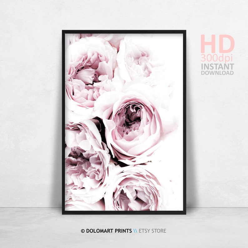 Blush Pink Peony Print, Rose Wall Art, Peonie Printable, Floral Room ...