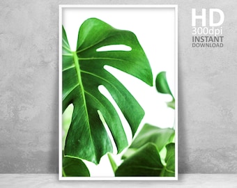 Monstera Leaf Printable Art, Modern Tropical Decor (Digital Download)