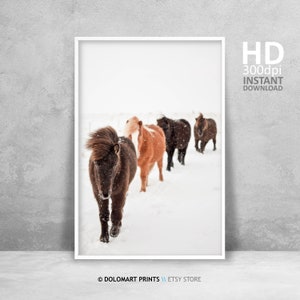 Horse print Wild horse wall art Farmhouse wall decor Horse photography Digital download Printable poster Wilderness wall decor Horses poster