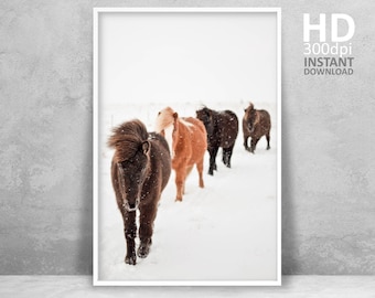 Fotografía de caballos salvajes en un paisaje invernal (descarga digital)