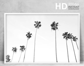 Black and White Palm Tree Print, Tropical Photography (Digital Download)