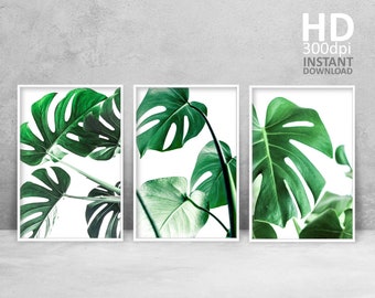 Monstera Leaf Print Set, Tropical Greenery Wall Art (Digital Download)