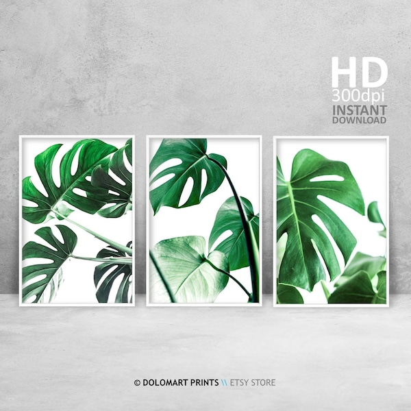 Monstera Leaf Prints, Greenery Gallery Wall, Set of 3 Prints, Tropical Leaf Printable, Monstera Deliciosa 3 Piece Decor, Tropical Leaves Set