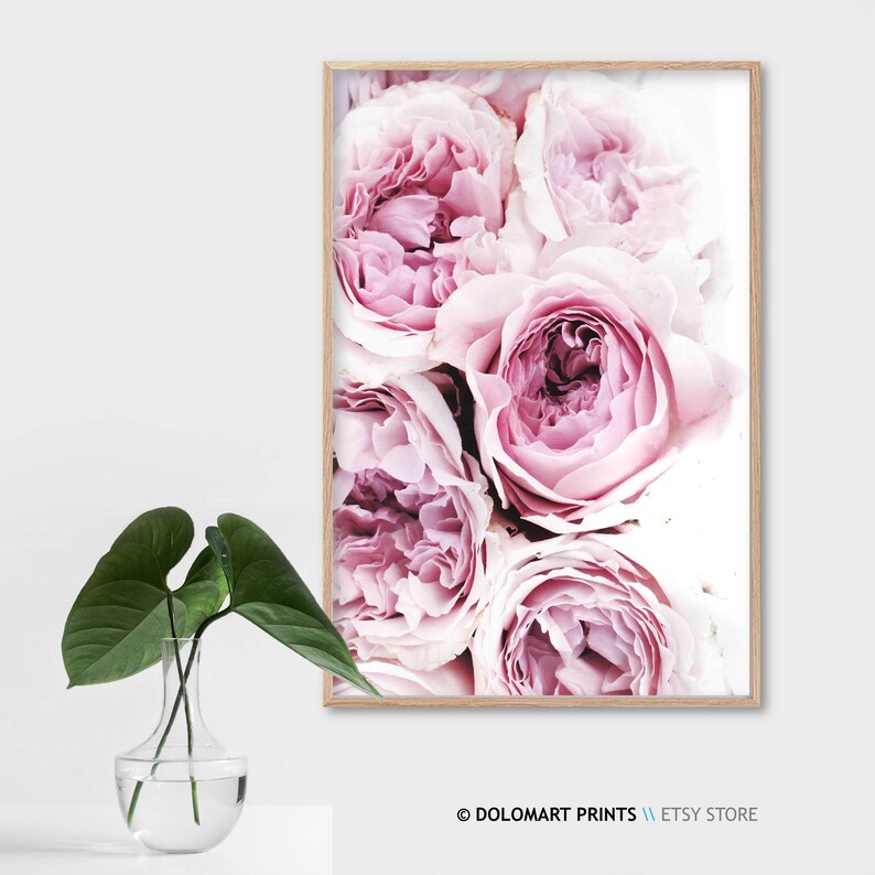 Pink Peonies Floral Photography Print, Minimalist Decor (Digital Download) image 6