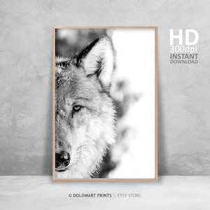 Wolf Portrait Photography Print, Black and White Animal Poster (Digital Download) image 2