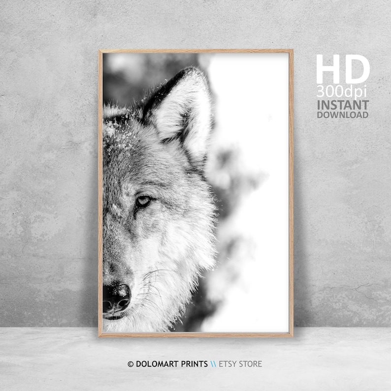 Wolf Portrait Photography Print, Black and White Animal Poster (Digital Download) image 2