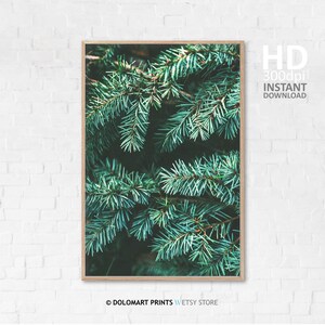 Pine Tree Branch Photography Print, Forest Green Wall Art (Digital Download) image 7