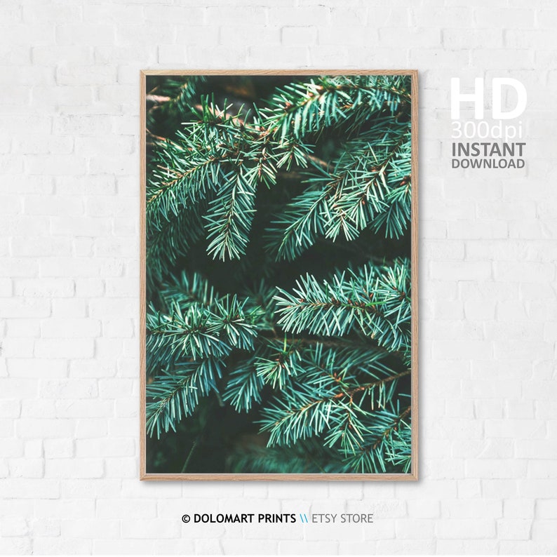 Pine Tree Branch Photography Print, Forest Green Wall Art (Digital Download) image 7