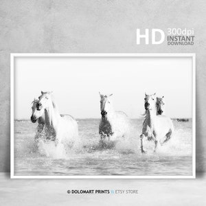 Horse Print, Horse Wall Art, White Horse Photography, Equine Wall Decor, Animal Prints, Printable Wall Art Horse, Large Wall Art Print Photo