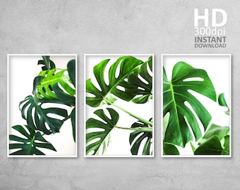 Monstera Leaf Prints, Tropical Greenery Gallery Wall Art (Digital Download)