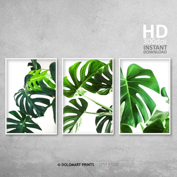 Set of 3 Prints, Monstera Leaf Prints, Greenery Gallery Wall, Tropical Leaf Printable, Monstera Deliciosa 3 Piece Decor, Tropical Leaves Set