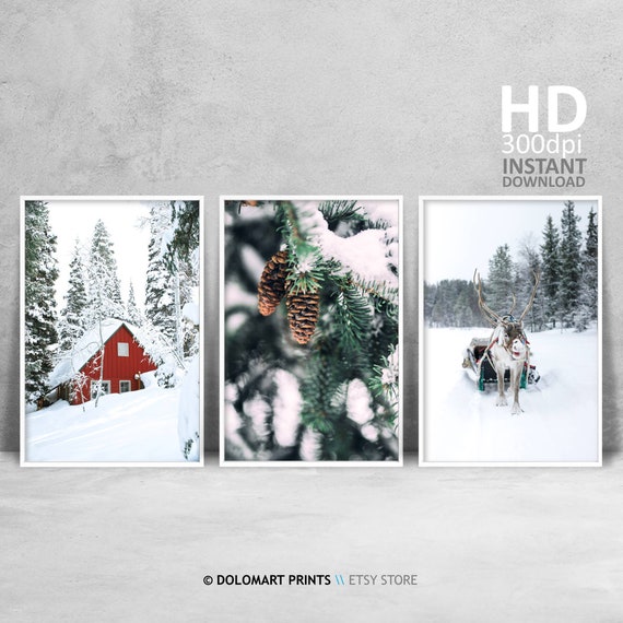 Winter Wonderland Decor Set of 3 Prints, Moose Print Decor