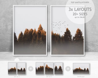 Juego de láminas fotográficas de bosques nórdicos, arte minimalista de la naturaleza (descarga digital)