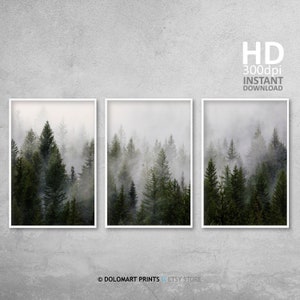 Skandinavische Waldlandschaft Fotos Bundle, Nebliger Wald Teal Poster Set, nordischer Nadelwald Set mit 3 Postern, Printable Art Set
