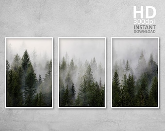 Misty Forest Photo Set, Teal Green, Nordic Wall Art (Digital Download)