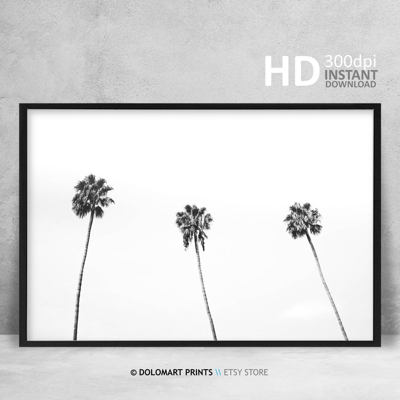 Palm Tree Print Tropical Wall Art Decor Black and White Palm Etsy