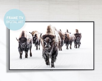 Winter Buffalo in Snow, Farmhouse Frame TV Art (Digital Download)