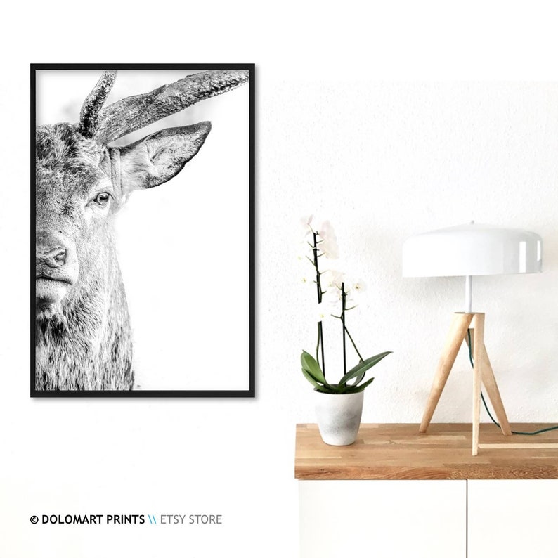 Deer Portrait Print, Wilderness Photography, Animal Poster (Digital Download) image 8