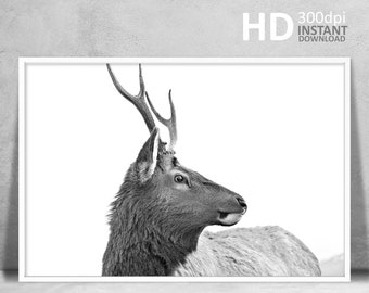 Black and White Deer Antler Print, Nordic Wall Art (Digital Download)