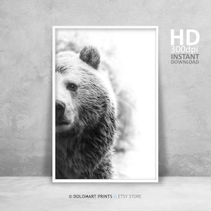 Arte de la pared del oso, impresión del oso, fotografía del desierto, cartel de animales, arte de la pared imprimible, foto del oso grizzly, descarga instantánea del arte de la pared grande