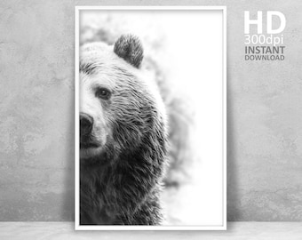 Bear Wall Art, Bear Print, Wilderness Photography, Animal Poster, Printable Wall Art, Grizzly Bear Photo, Large Wall Art Instant Download
