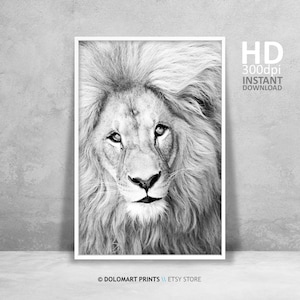 Lion Wall Art, Lion Print, Wilderness Photography, Animal Poster, Printable Wall Art, Lion King Photo, Africa Large Wall Art, Lion Art Print