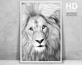 Lion Portrait Photography Print, Black and White Animal Poster (Digital Download)