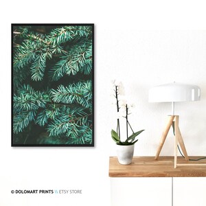 Pine Tree Branch Photography Print, Forest Green Wall Art (Digital Download) image 5