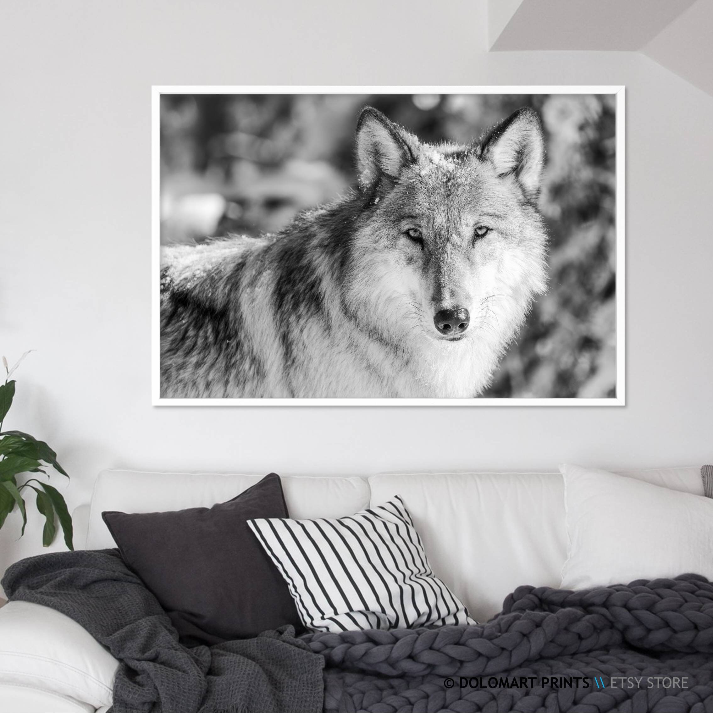 Black and White Wolf Wall Art Print Wilderness Photography Etsy.de