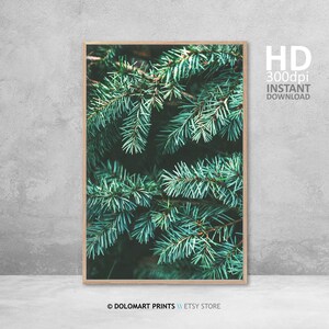 Pine Tree Branch Photography Print, Forest Green Wall Art (Digital Download) image 3