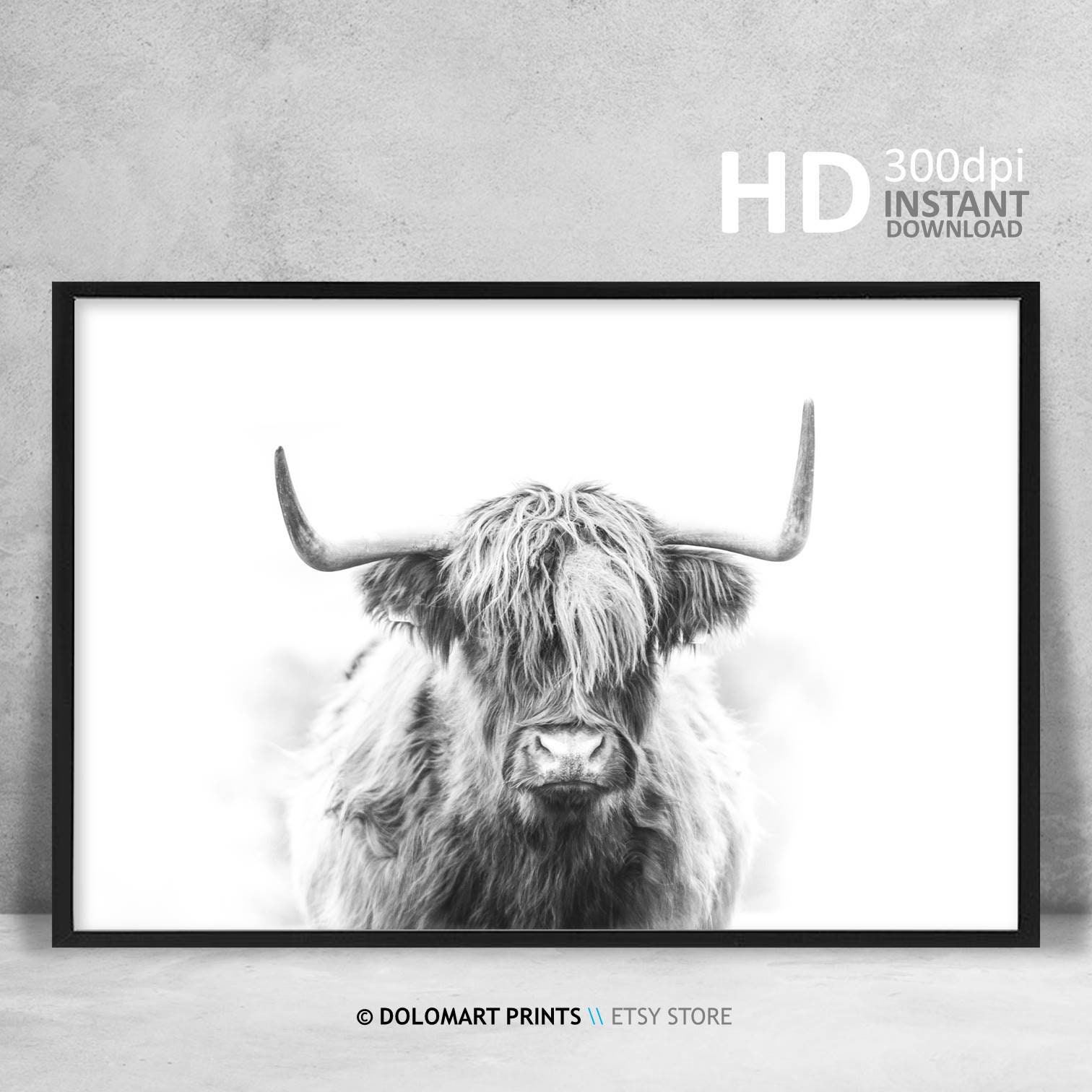 Highland Cow Print Farm Animal Wall Art Cow Poster Rustic Etsy