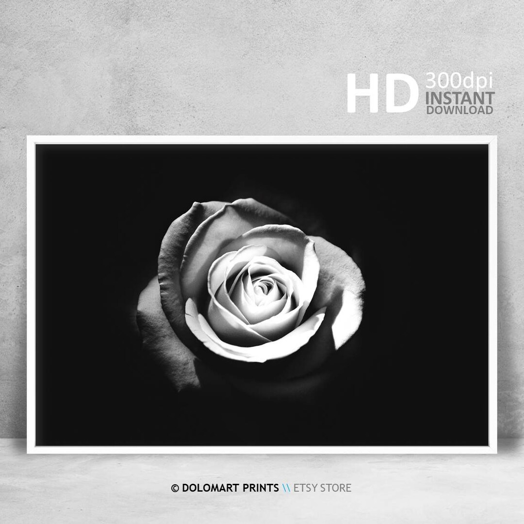 Rose Print Black and White Rose Wall Art Floral Wall Art Etsy