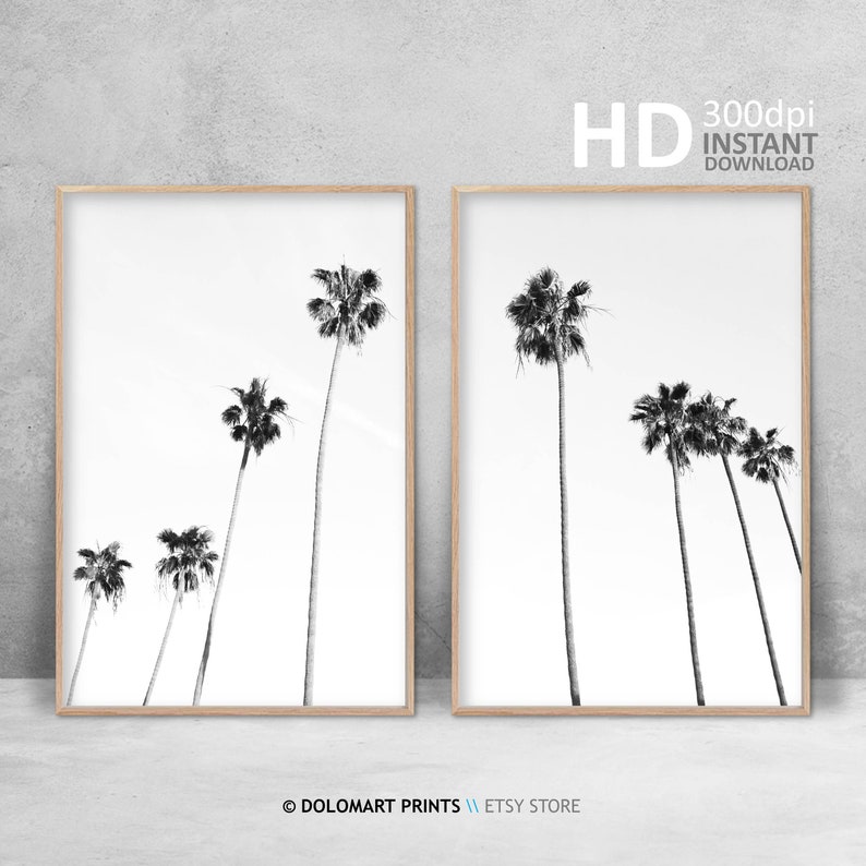 Palm Tree Prints Tropical Wall Art Decor Black and White | Etsy