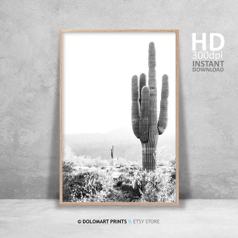 Cactus Print Southwestern Decor Black and White Cactus - Etsy