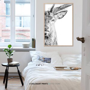 Deer Portrait Print, Wilderness Photography, Animal Poster (Digital Download) image 7