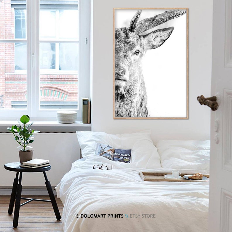 Deer Portrait Print, Wilderness Photography, Animal Poster (Digital Download) image 7