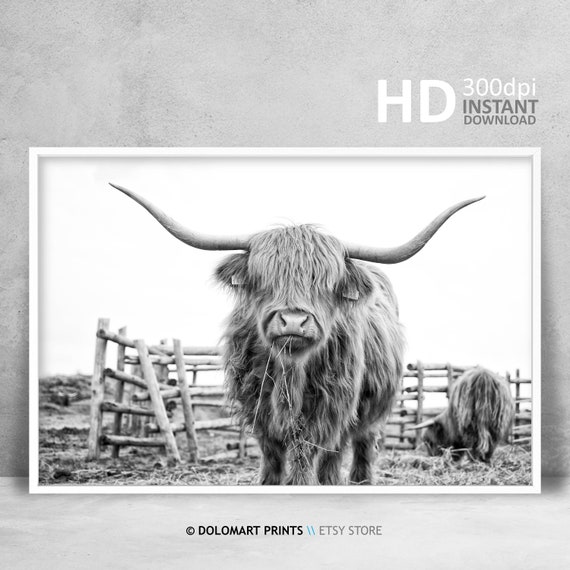 Highland Cow Print Digital Download Farm Animal Print Wall Art Farmhouse Poster Instant Download