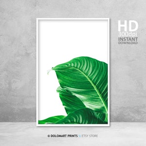 Tropische Kunst zum Ausdrucken, Grüne Wand, Kunst-Dekor, Grünes Blatt Foto, Botanisches Kunstwerk, digitaler Download, Grüne Wohnkultur, Tropische Blätter