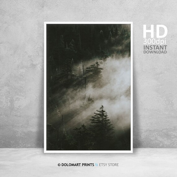 Misty Forest Print, Nordic Landscape Photography (Digital Download)