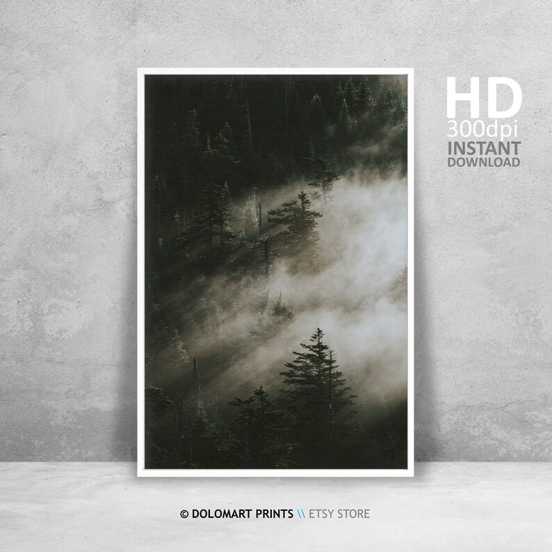 Misty Forest Print, Nordic Landscape Photography (Digital Download) image 1