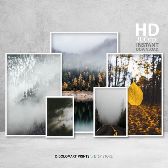 Misty Forest Landscape Print Set, Minimal Nature Photography (Digital Download)